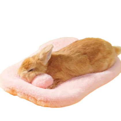 lit douillet pour lapin