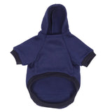 gilet lapin bleu