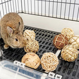 jouet pour lapin en cage