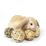 jouet pour lapin nain cage